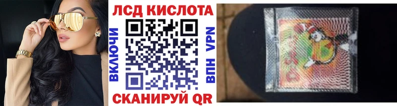 где можно купить   Гдов  Марки NBOMe 1500мкг 